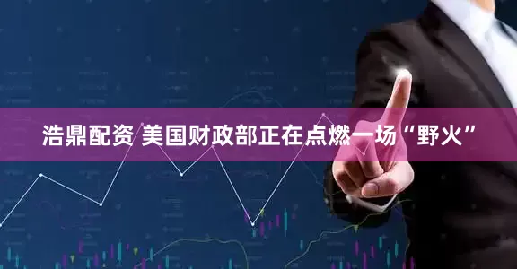 浩鼎配资 美国财政部正在点燃一场“野火”